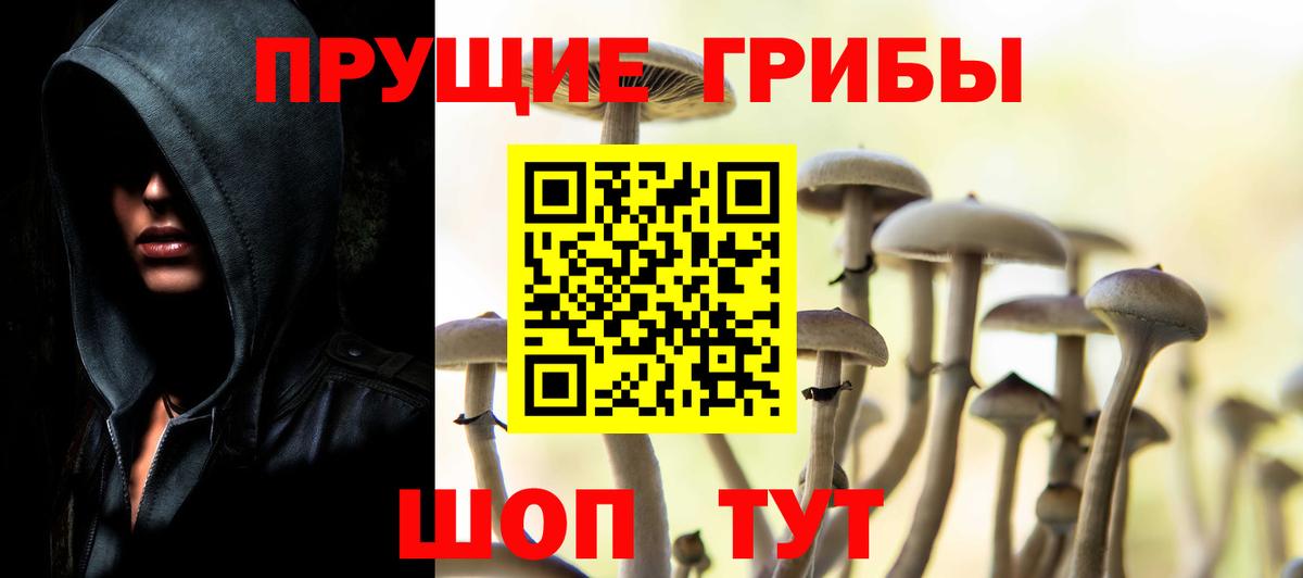 Псилоцибиновые грибы мицелий  Вход с VPN  Десногорск 